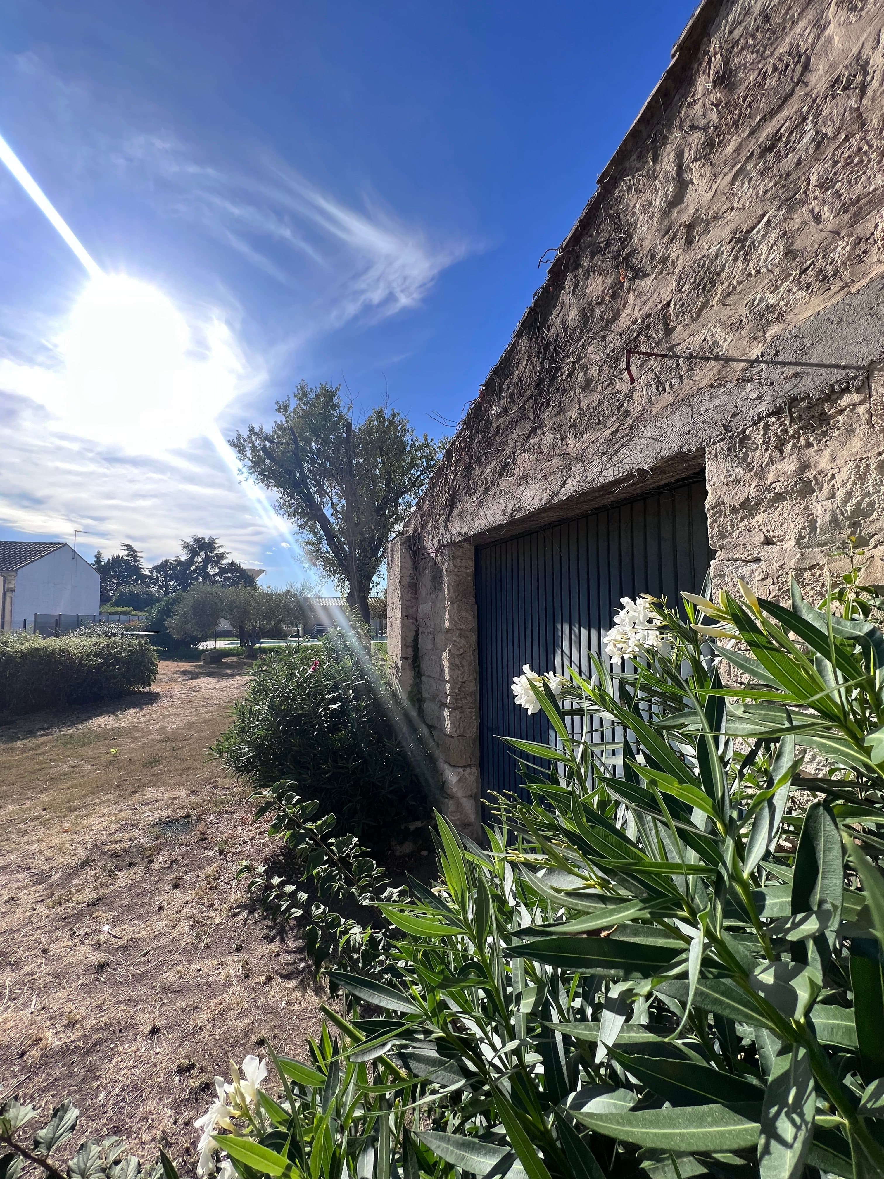 Stone wall and blue gate with white oleander flowering in the foreground