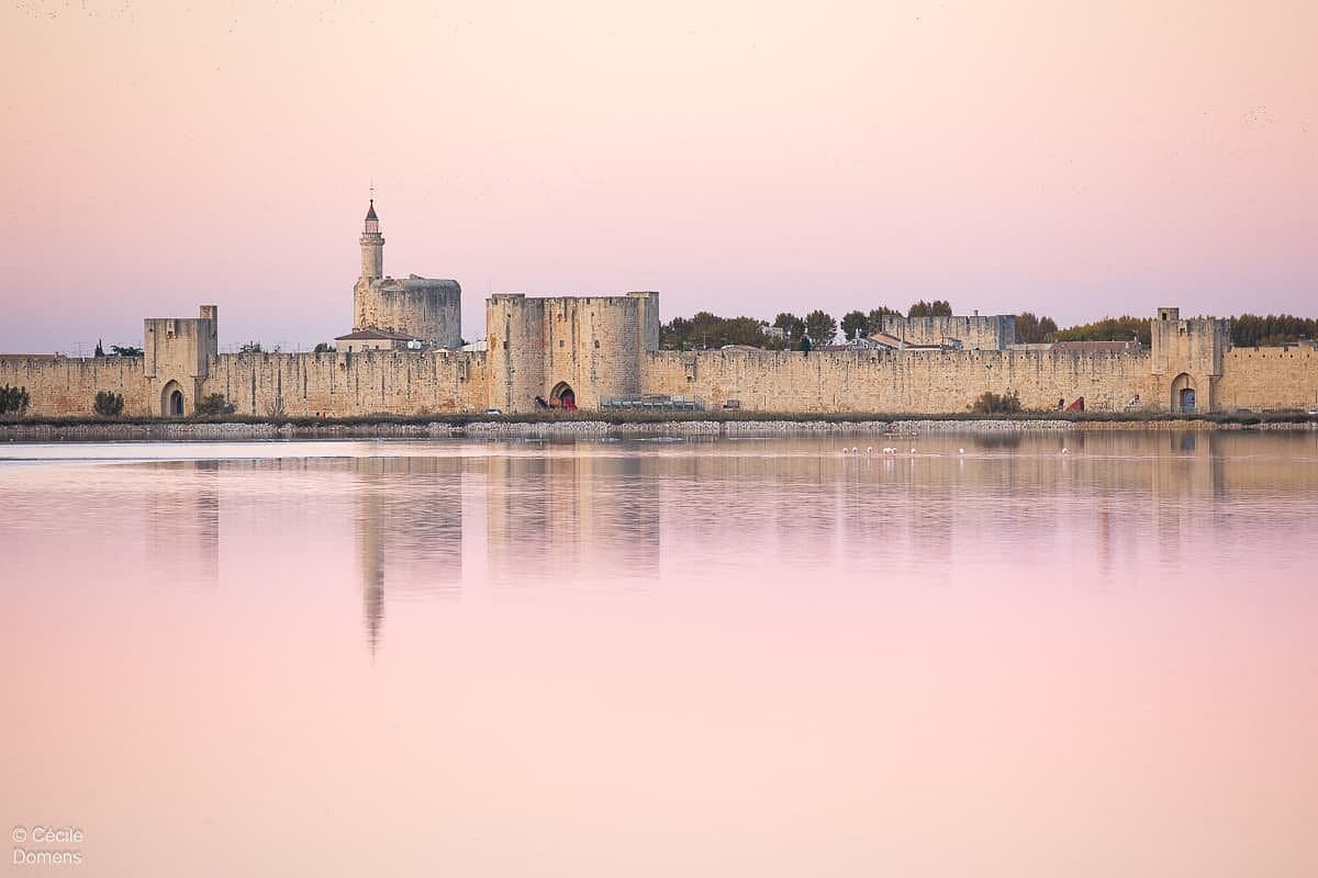Visiter Aigues-Mortes et les Salins du Midi