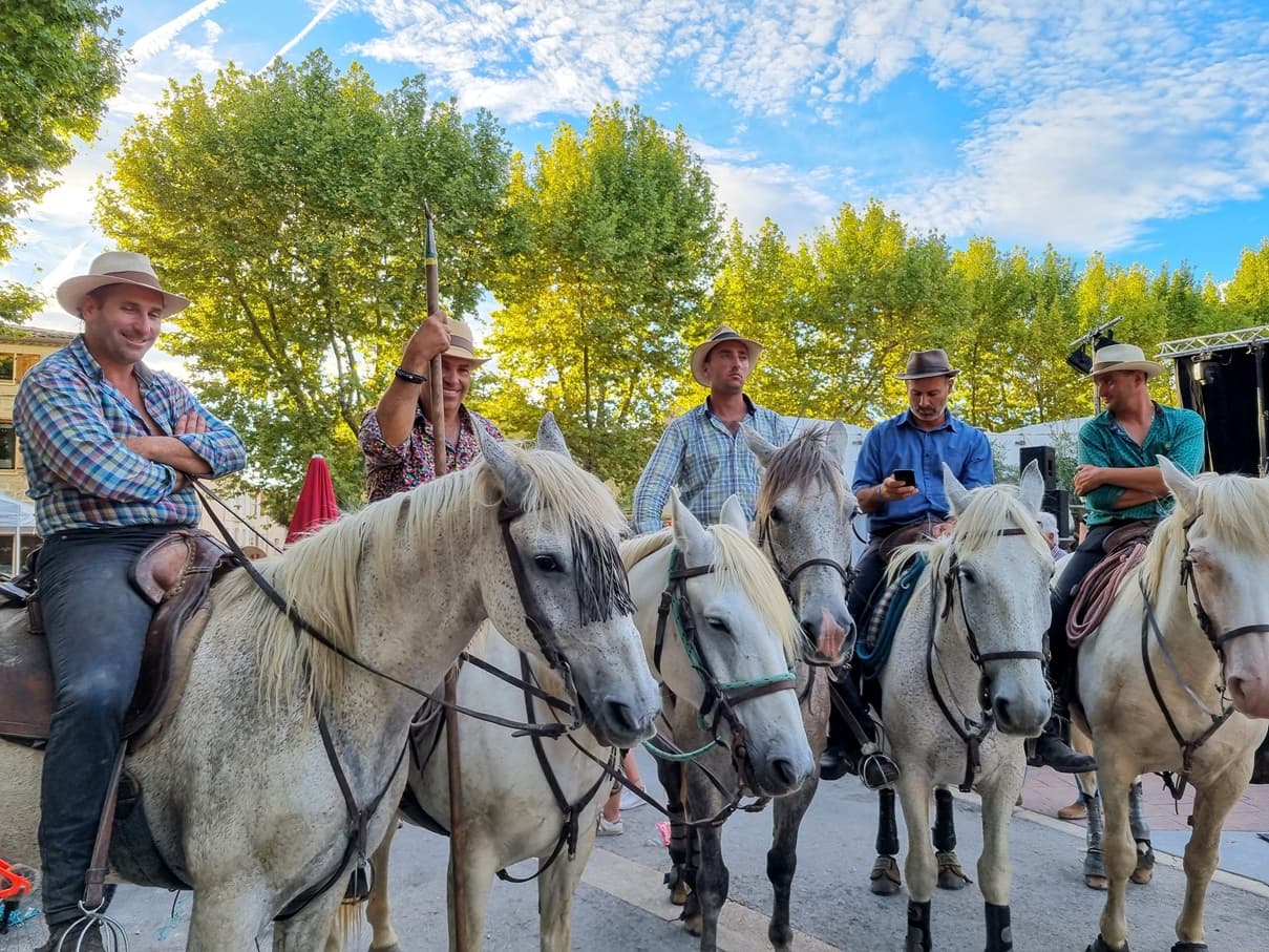 Découvrez la course camarguaise – une grande tradition locale